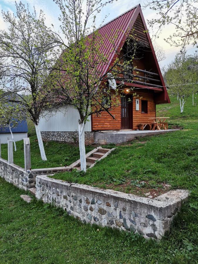 Ethno Cottage Momo Tepca Zabljak  Exterior photo