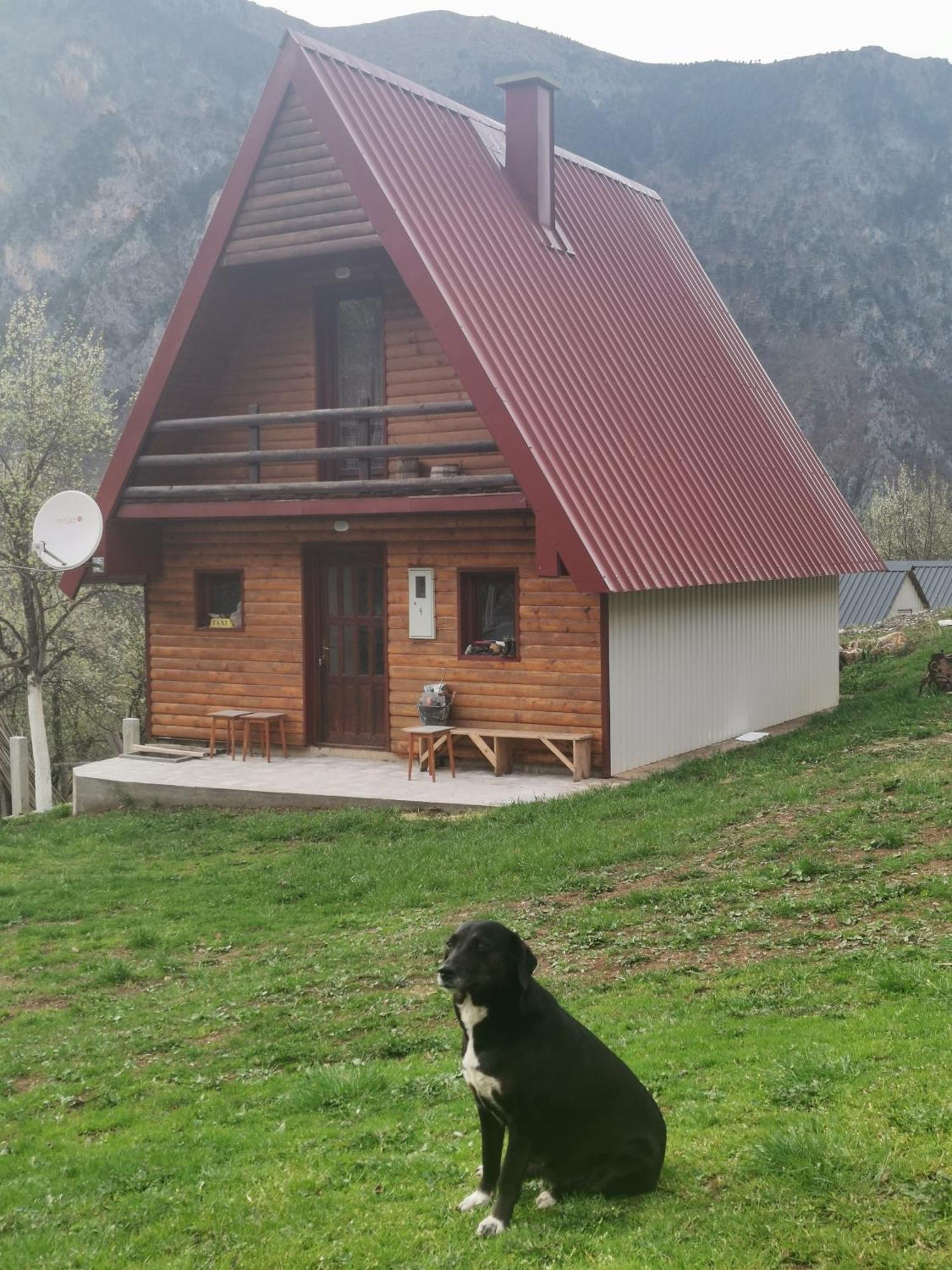 Ethno Cottage Momo Tepca Zabljak  Room photo