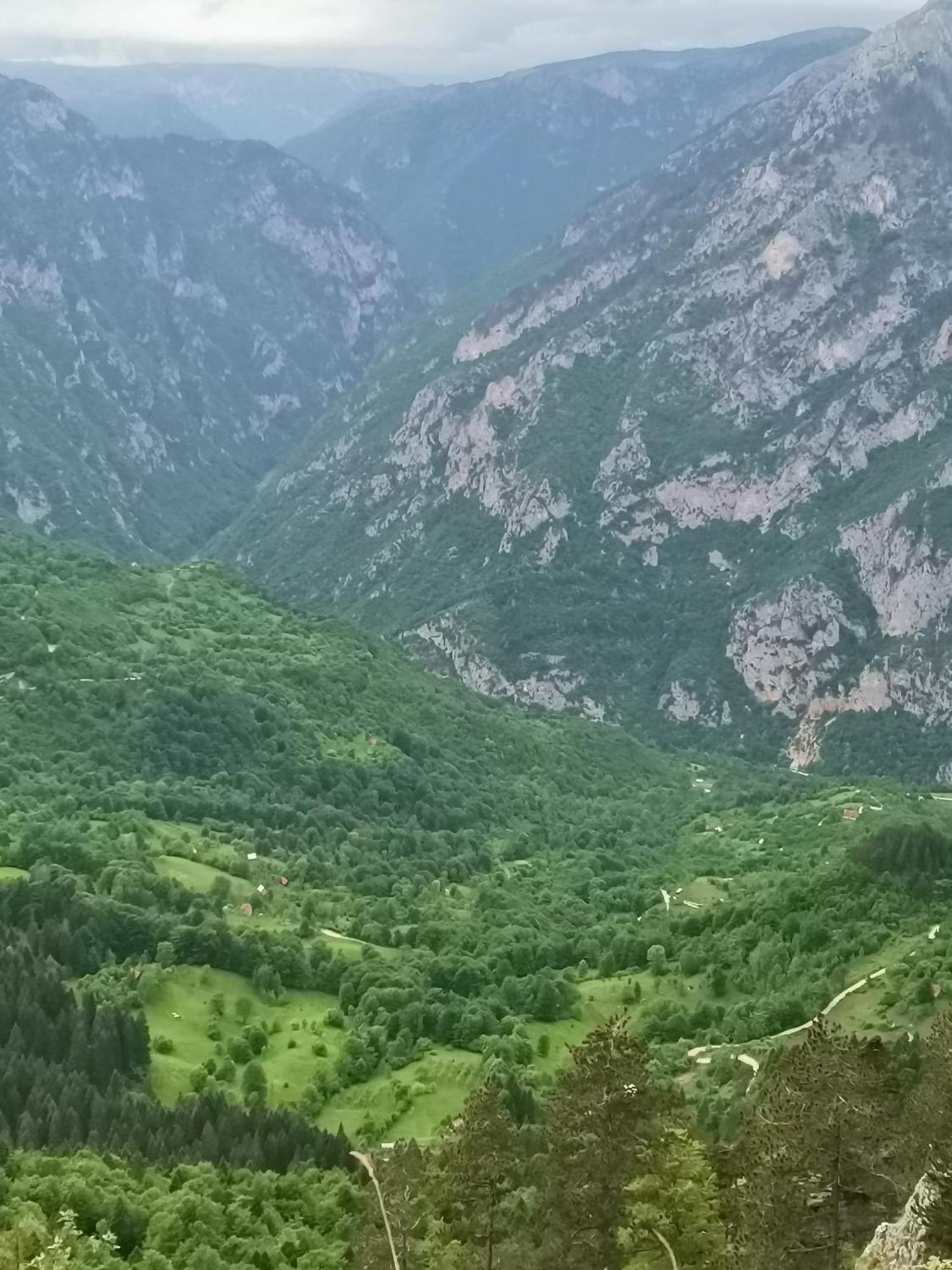 Ethno Cottage Momo Tepca Zabljak  Room photo