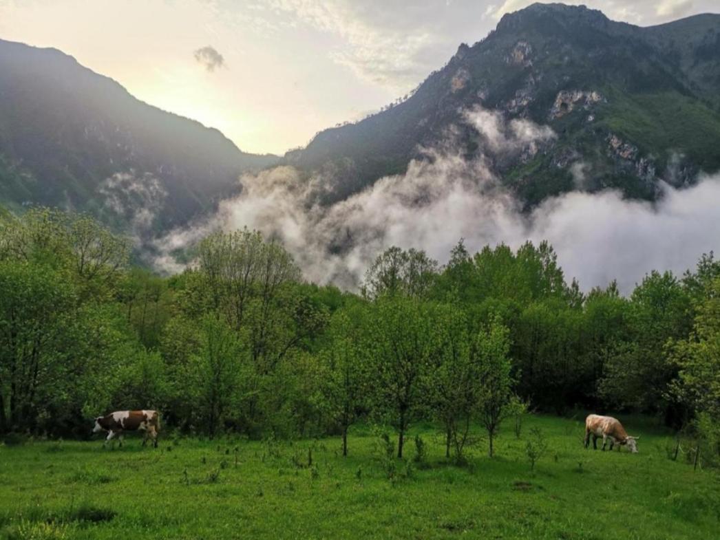 Ethno Cottage Momo Tepca Zabljak  Exterior photo